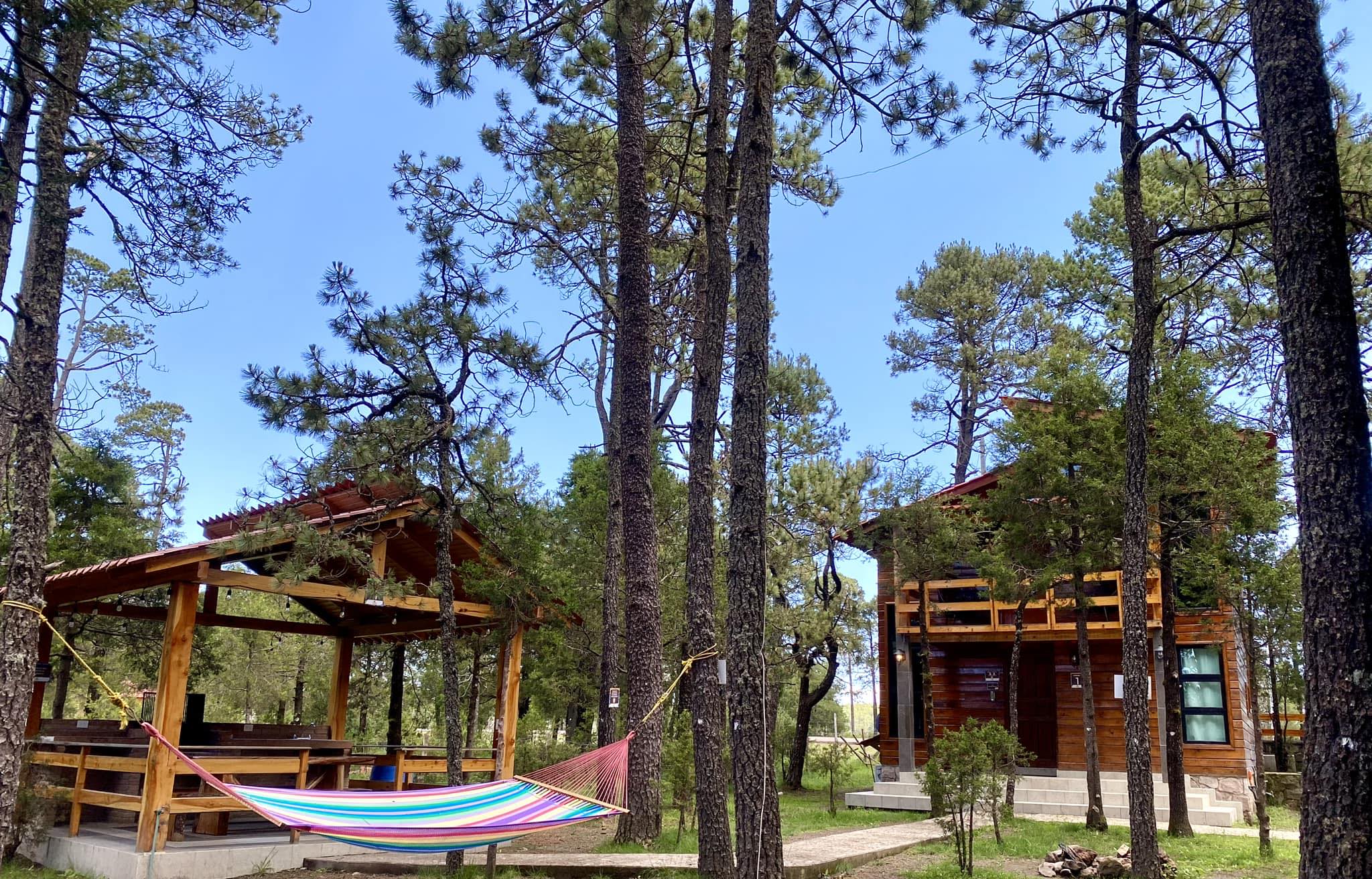 Imagen destacada de La Zona Adelita