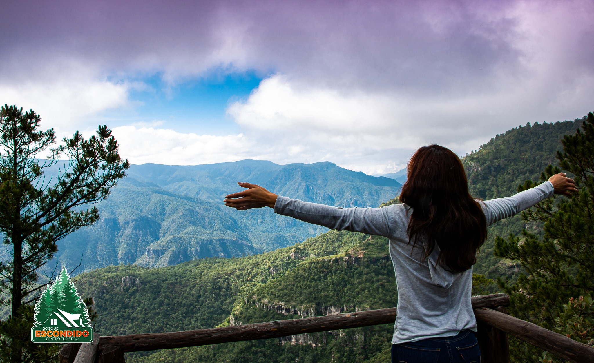 Imagen destacada de Bosque Escondido