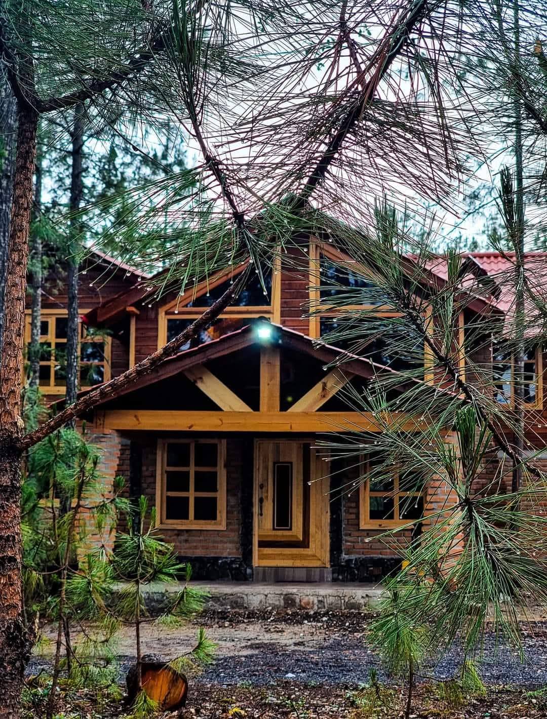 Imagen destacada de Cabañas Camino Real