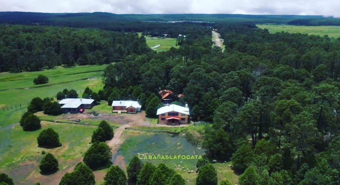 Imagen destacada de Cabañas La Fogata