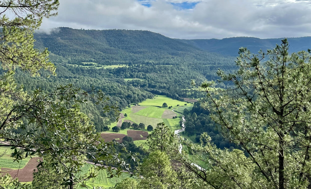 Imagen destacada de Parque San Isidro