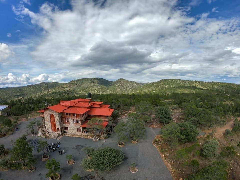Imagen destacada de Bosques de Montesión