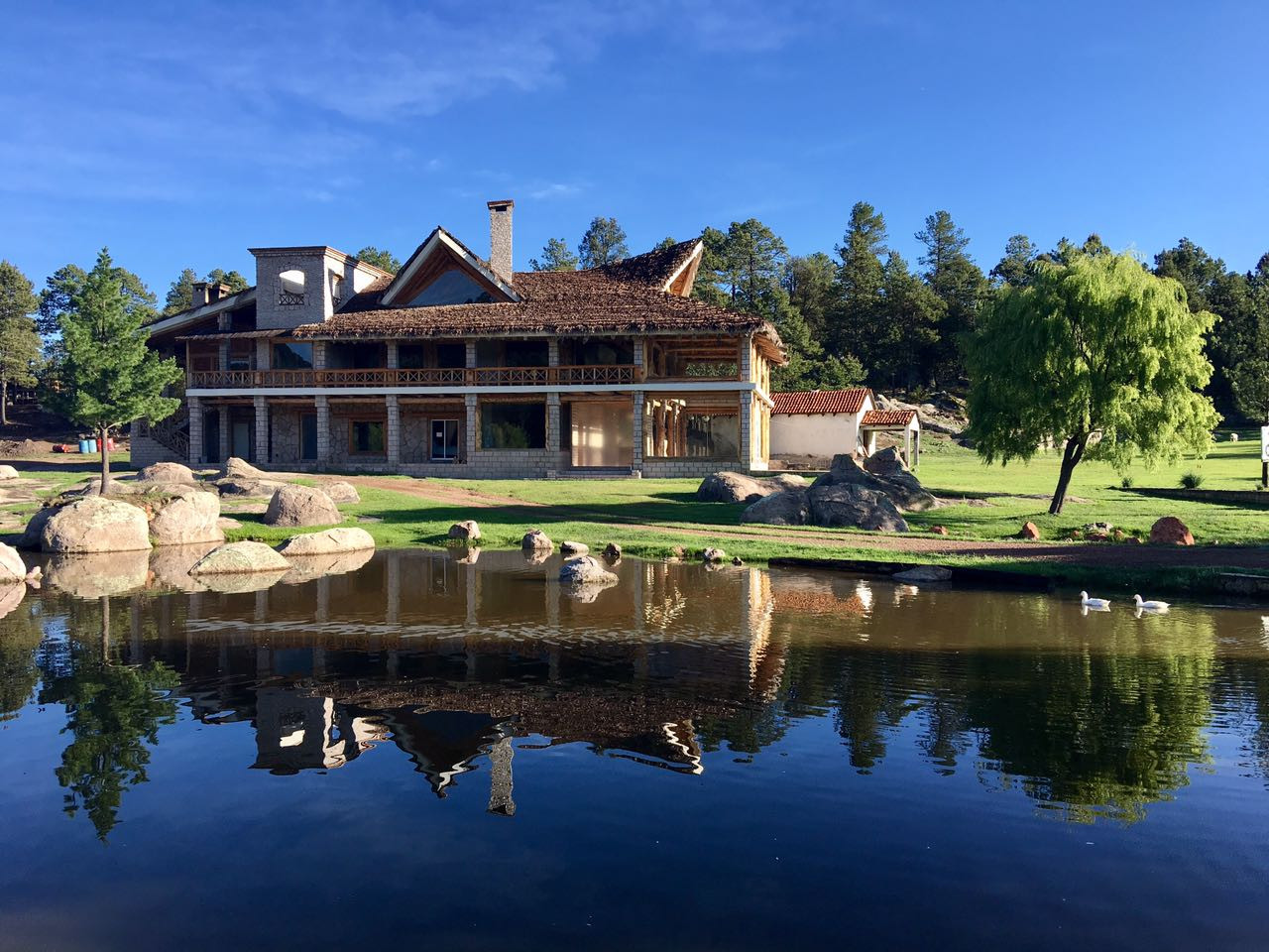 Imagen destacada de Rancho El Oso